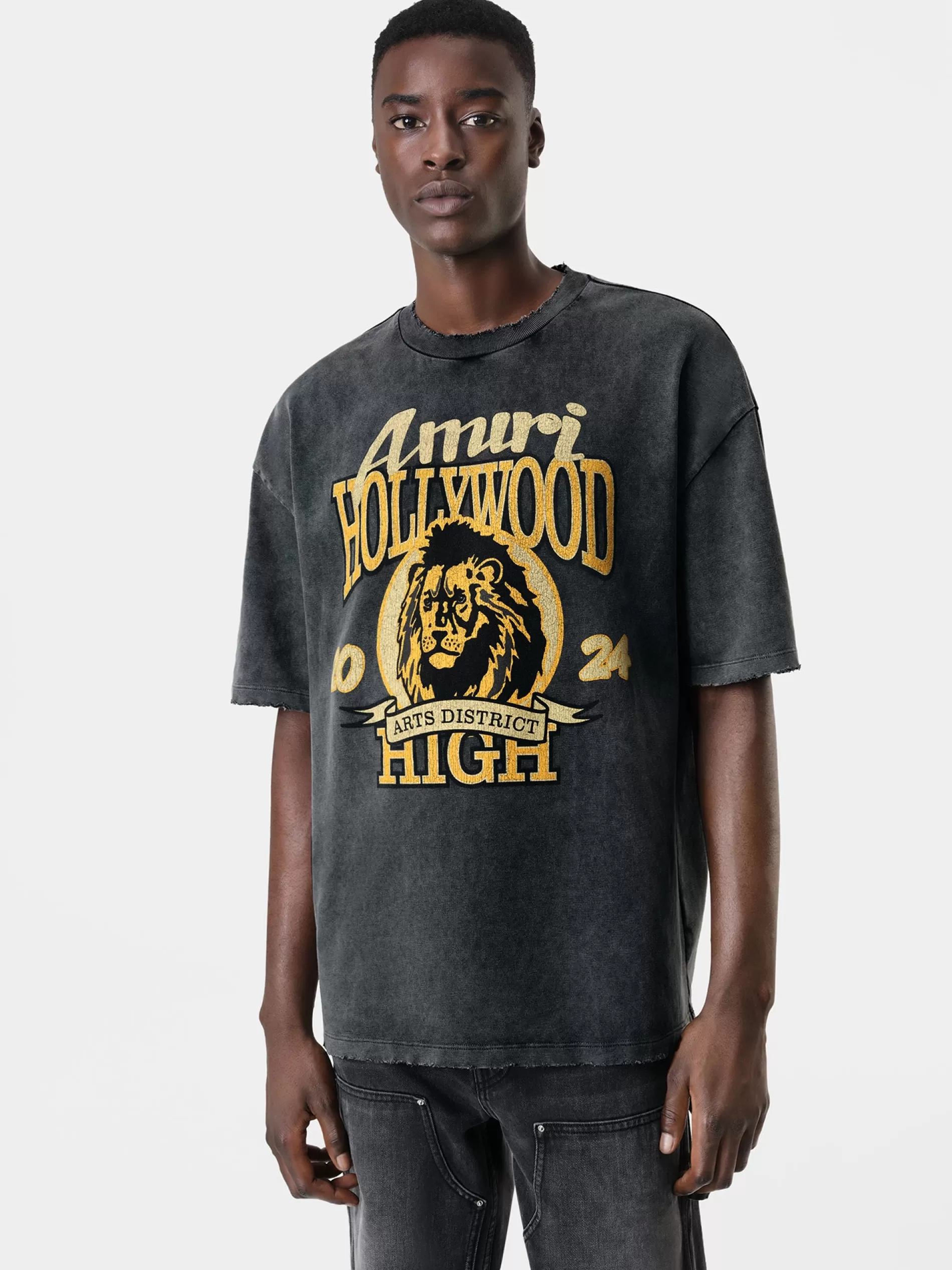 AMIRI Tees> HIGH LION SKATER TEE BLACK