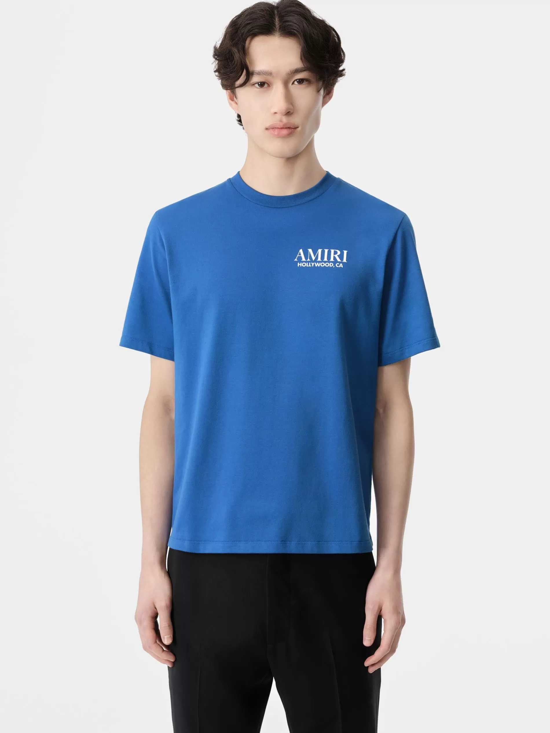 AMIRI Tees>BONES STACKED TEE Blue